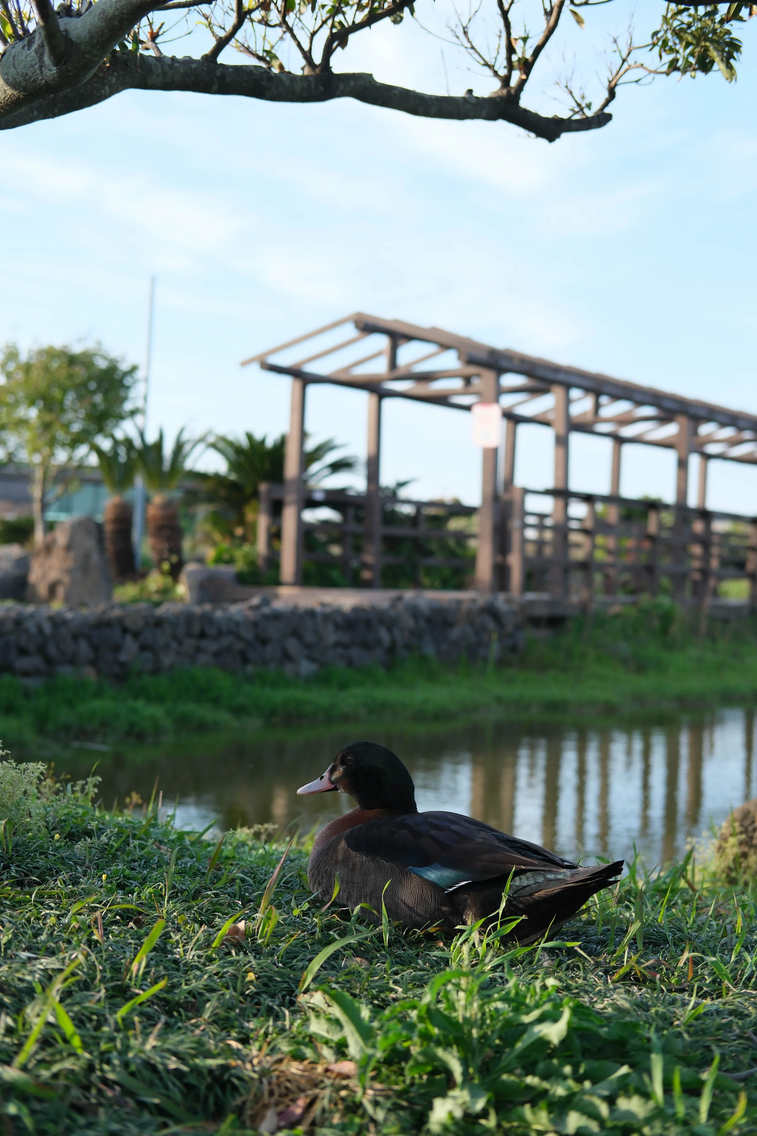 KOREA_2026-32.jpg