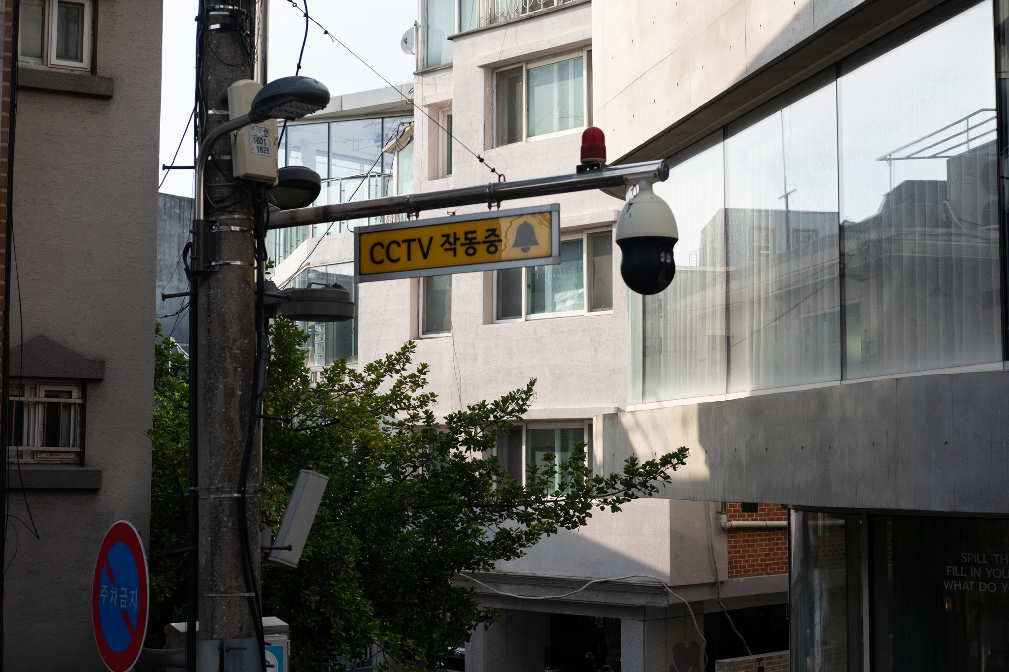 KOREA PHOTOS 2025-05.jpg