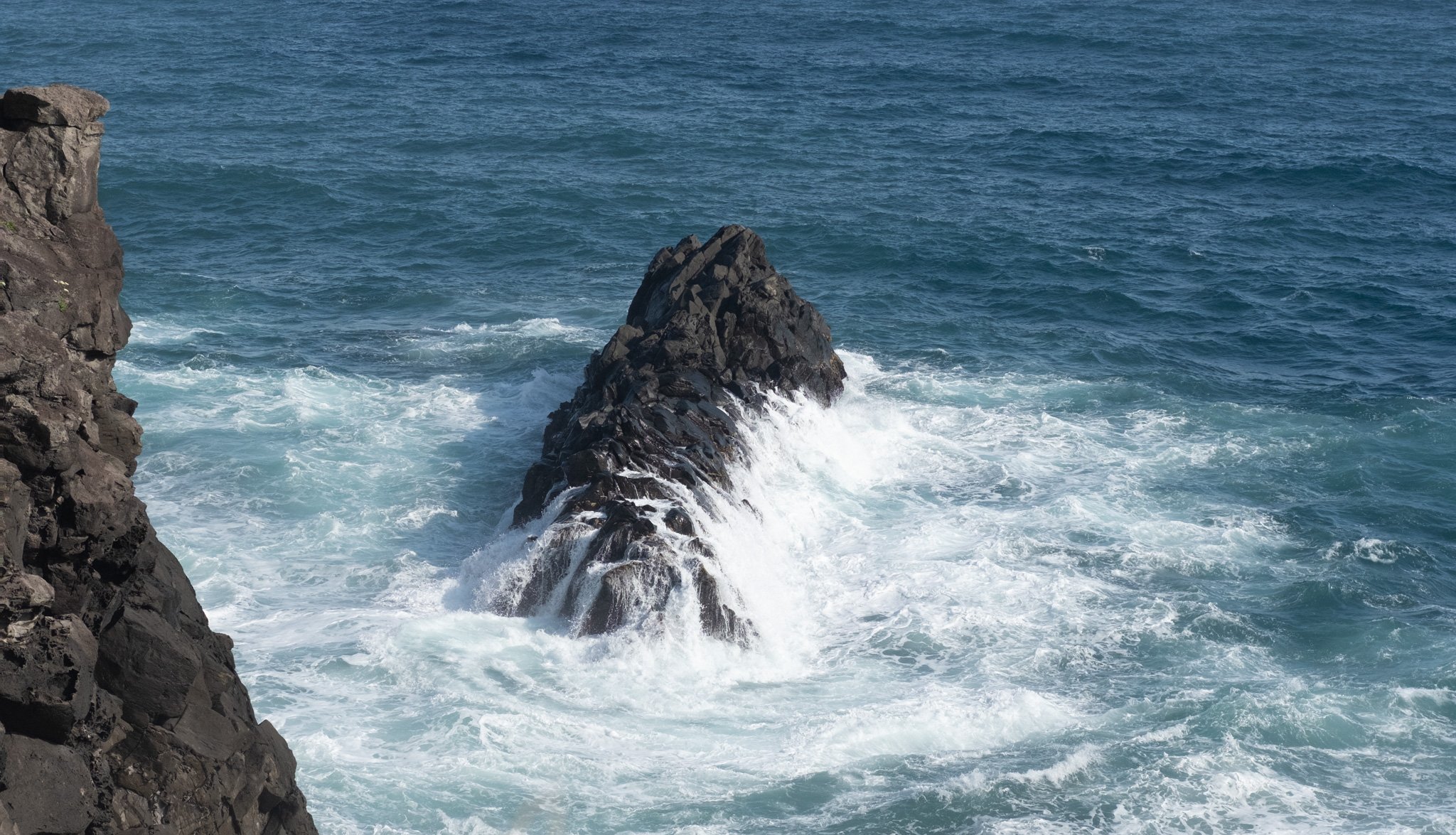 KOREA PHOTOS 2025-50.jpg