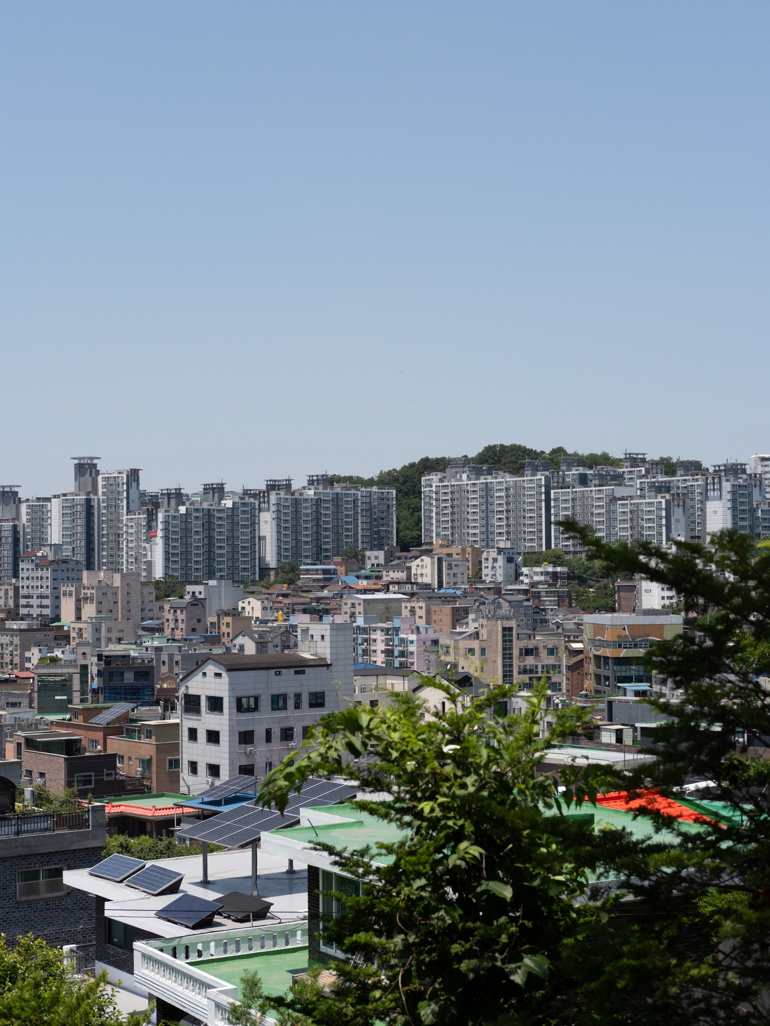 KOREA PHOTOS 2025-16.jpg