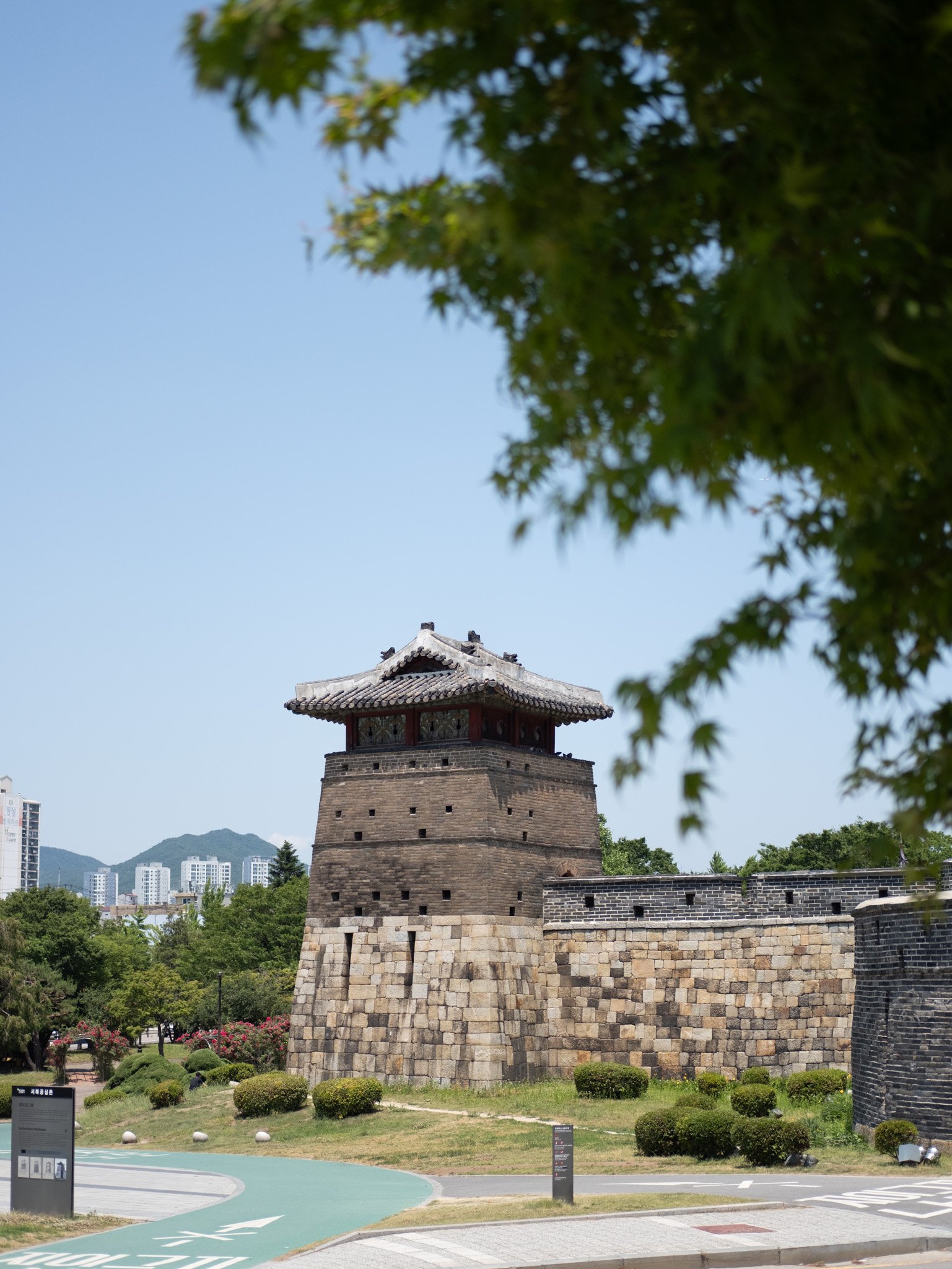 KOREA PHOTOS 2025-18.jpg