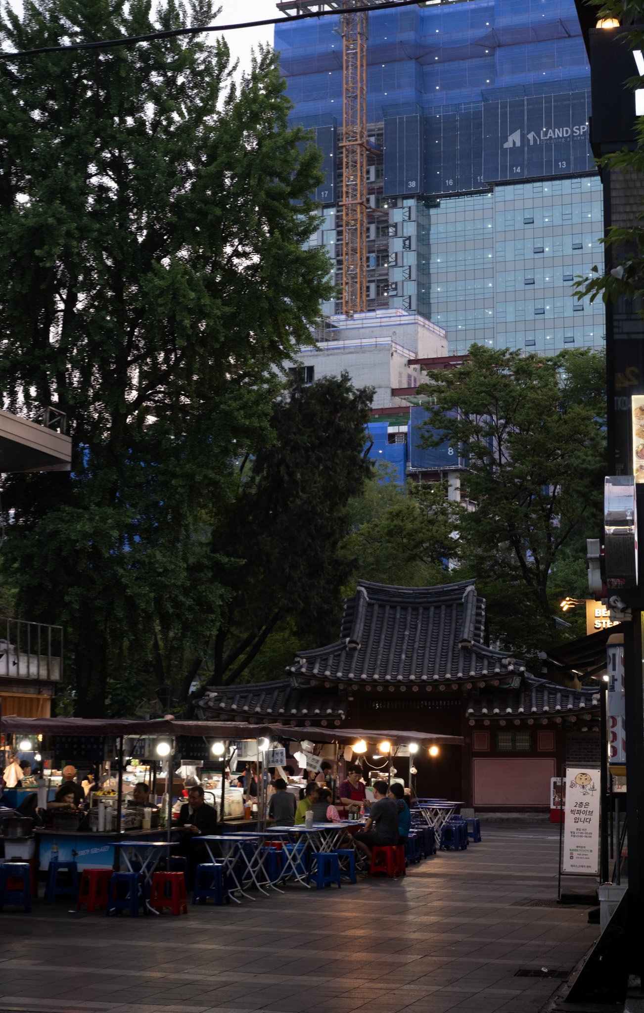 KOREA PHOTOS 2025-06.jpg