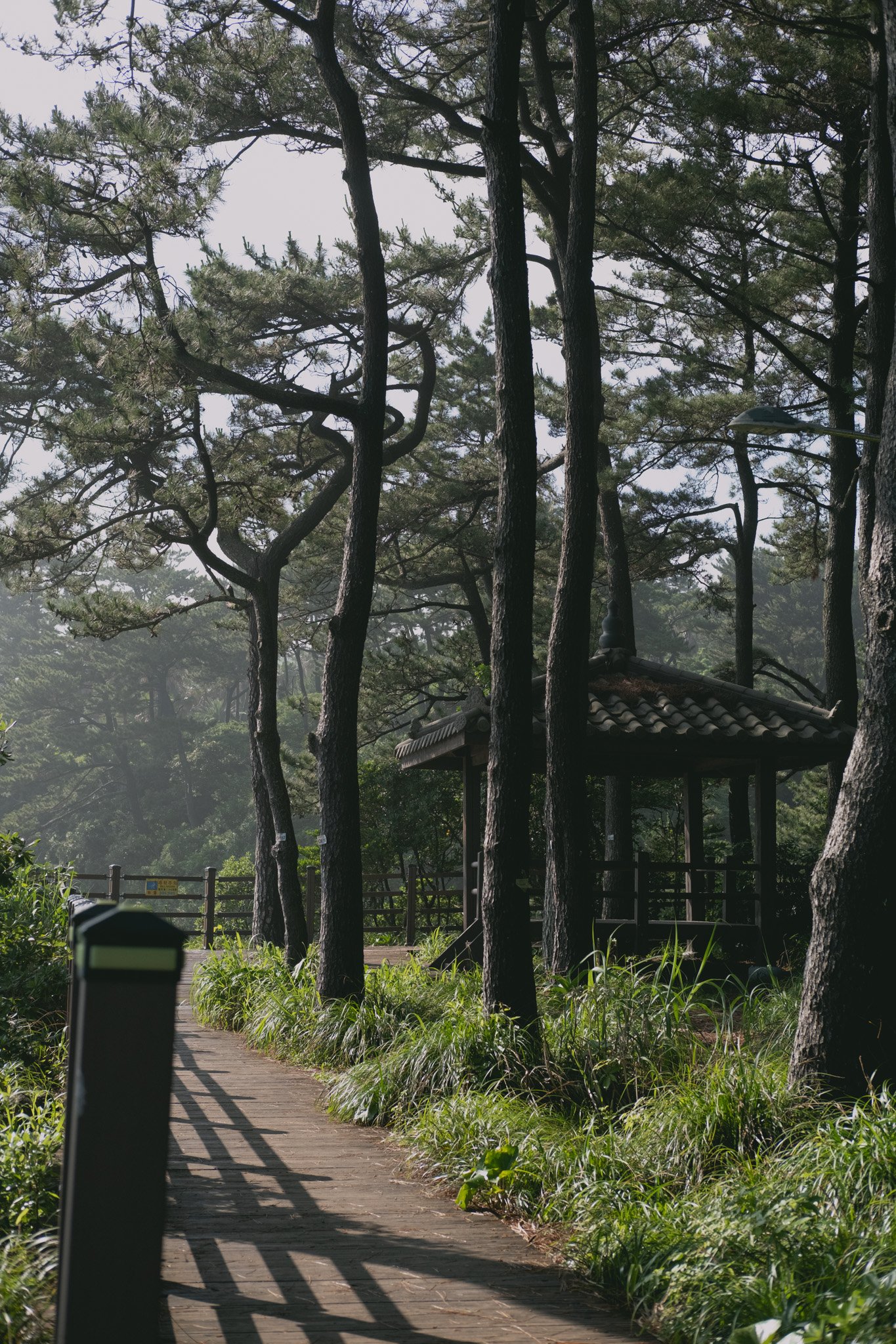 KOREA PHOTOS 2025-47.jpg