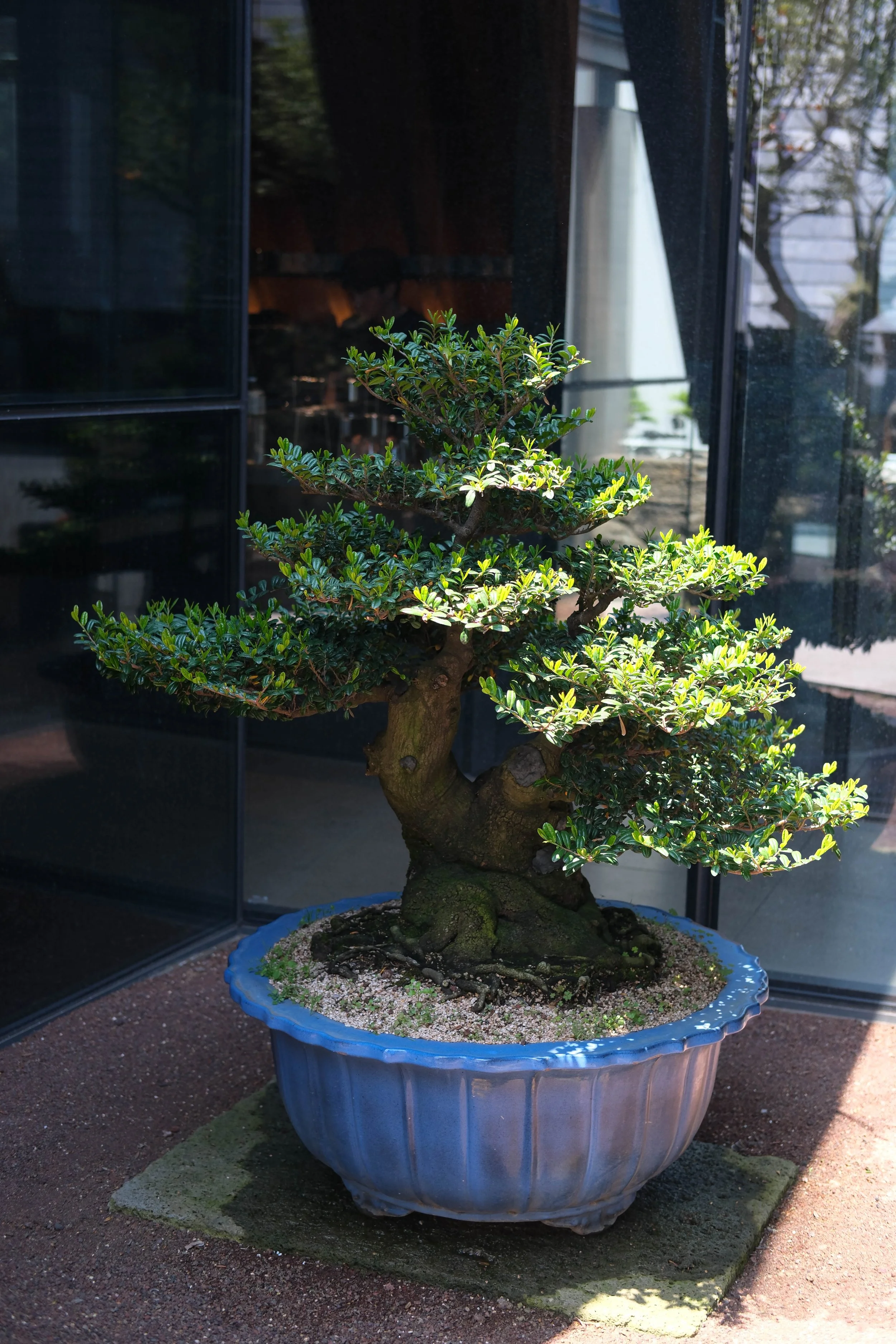 KOREA_2026-40.jpg