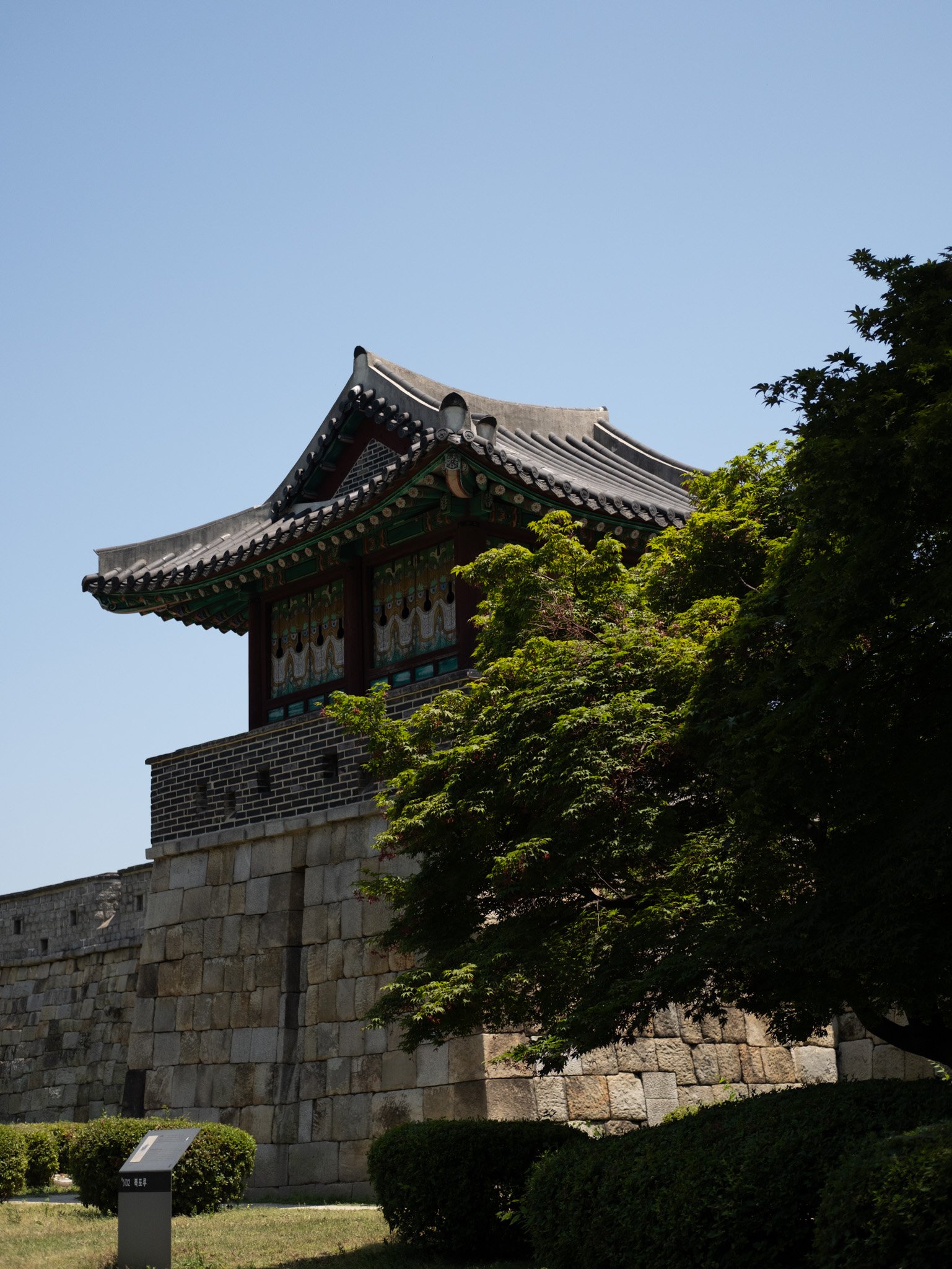 KOREA PHOTOS 2025-19.jpg