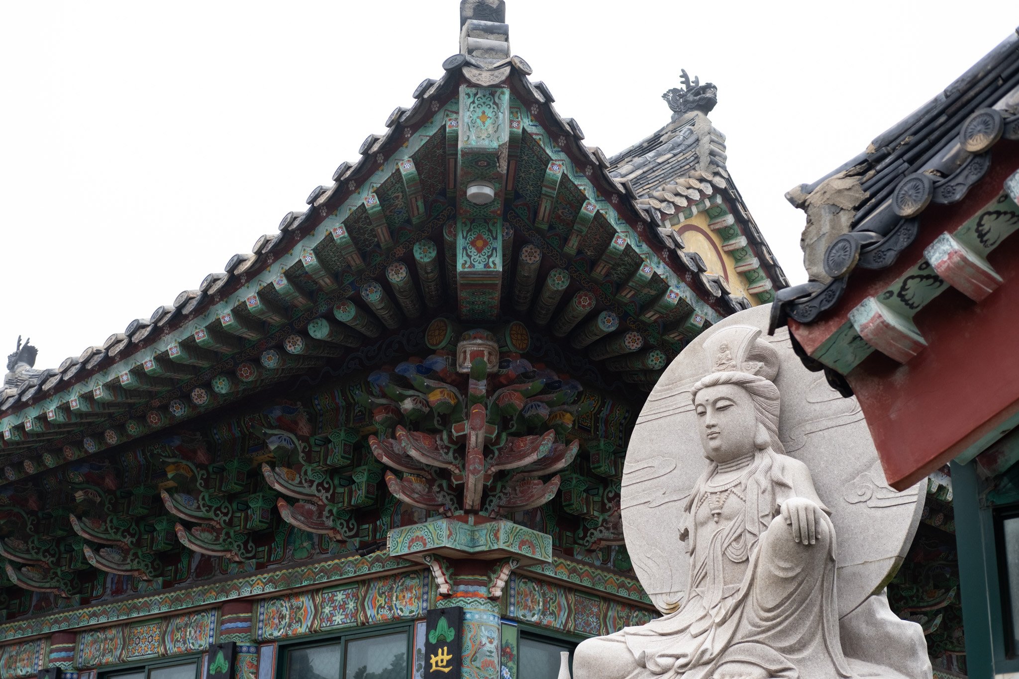 KOREA PHOTOS 2025-34.jpg