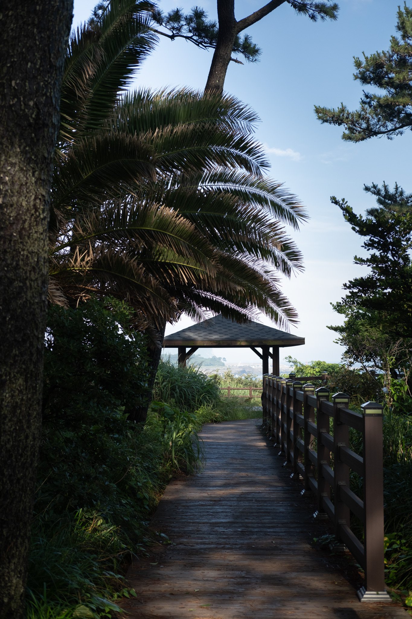 KOREA PHOTOS 2025-51.jpg
