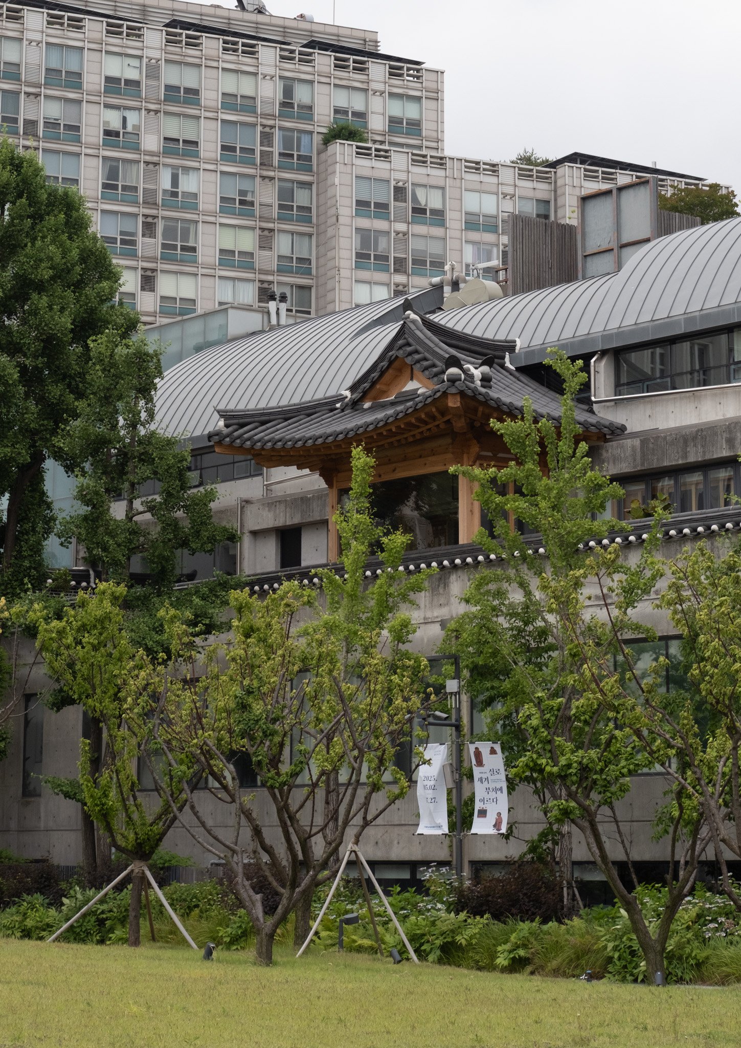 KOREA PHOTOS 2025-10.jpg