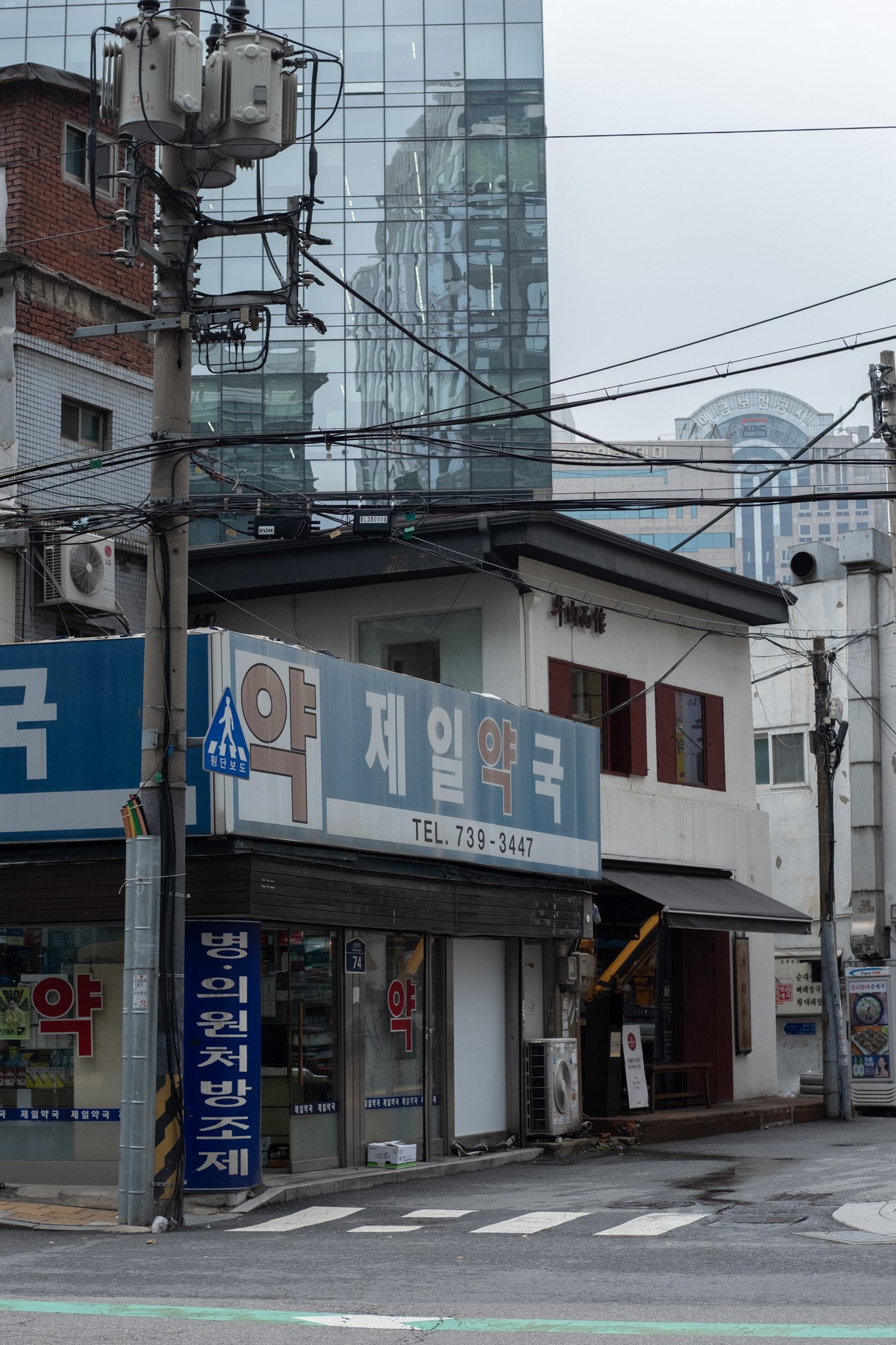 KOREA PHOTOS 2025-60.jpg