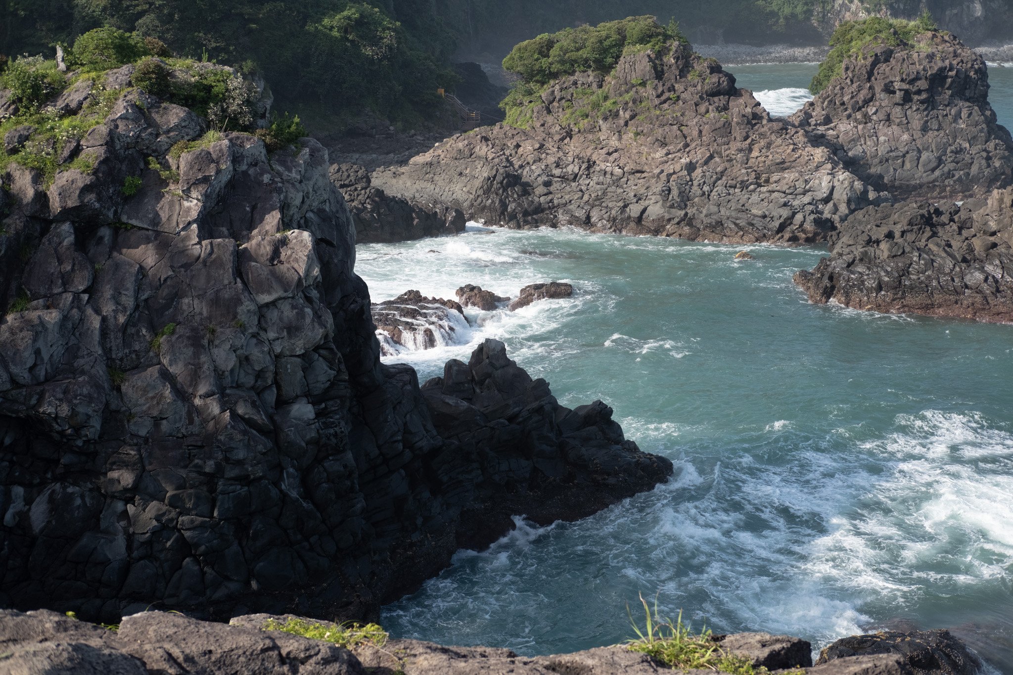 KOREA PHOTOS 2025-52.jpg