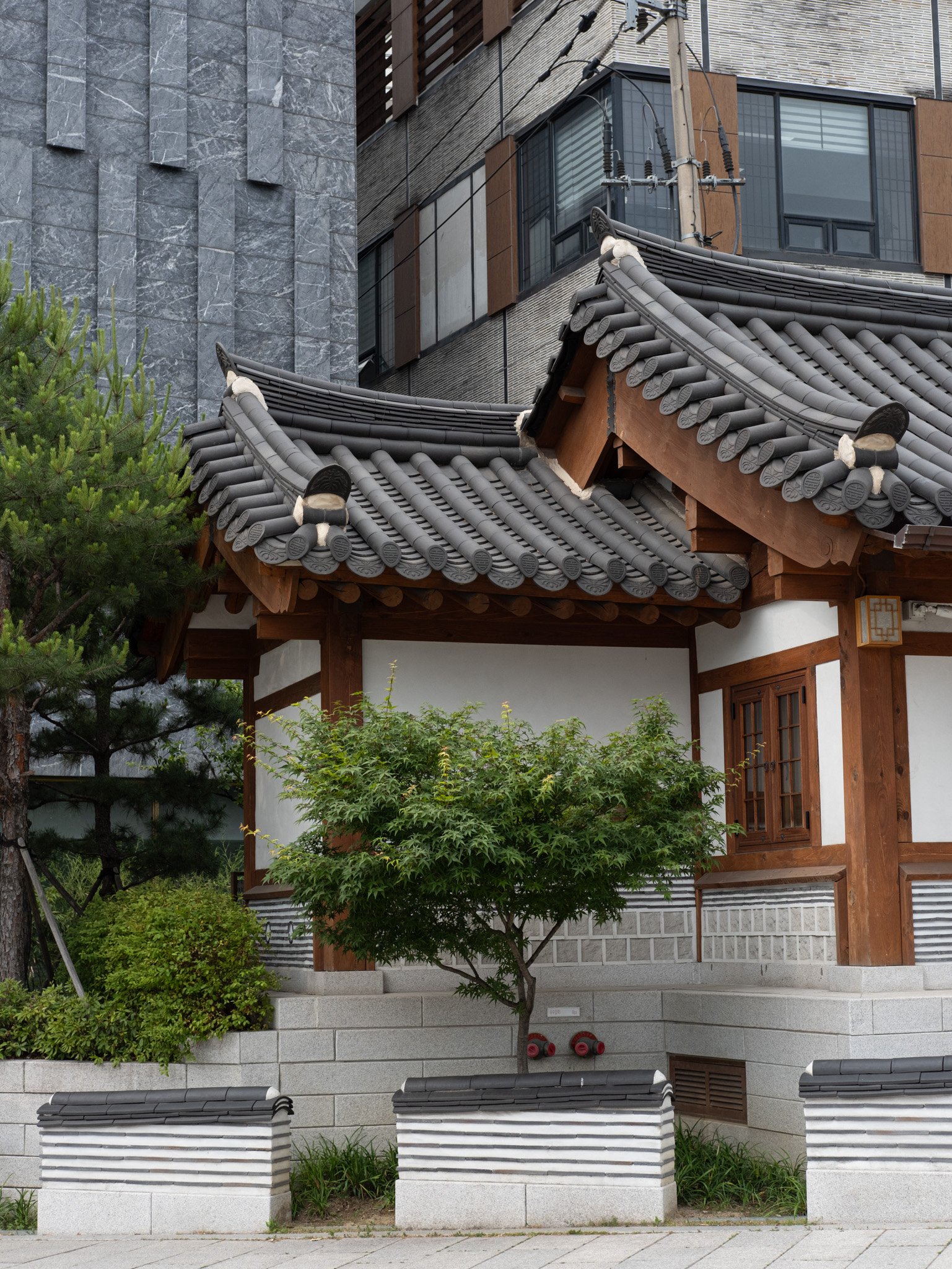 KOREA PHOTOS 2025-08.jpg