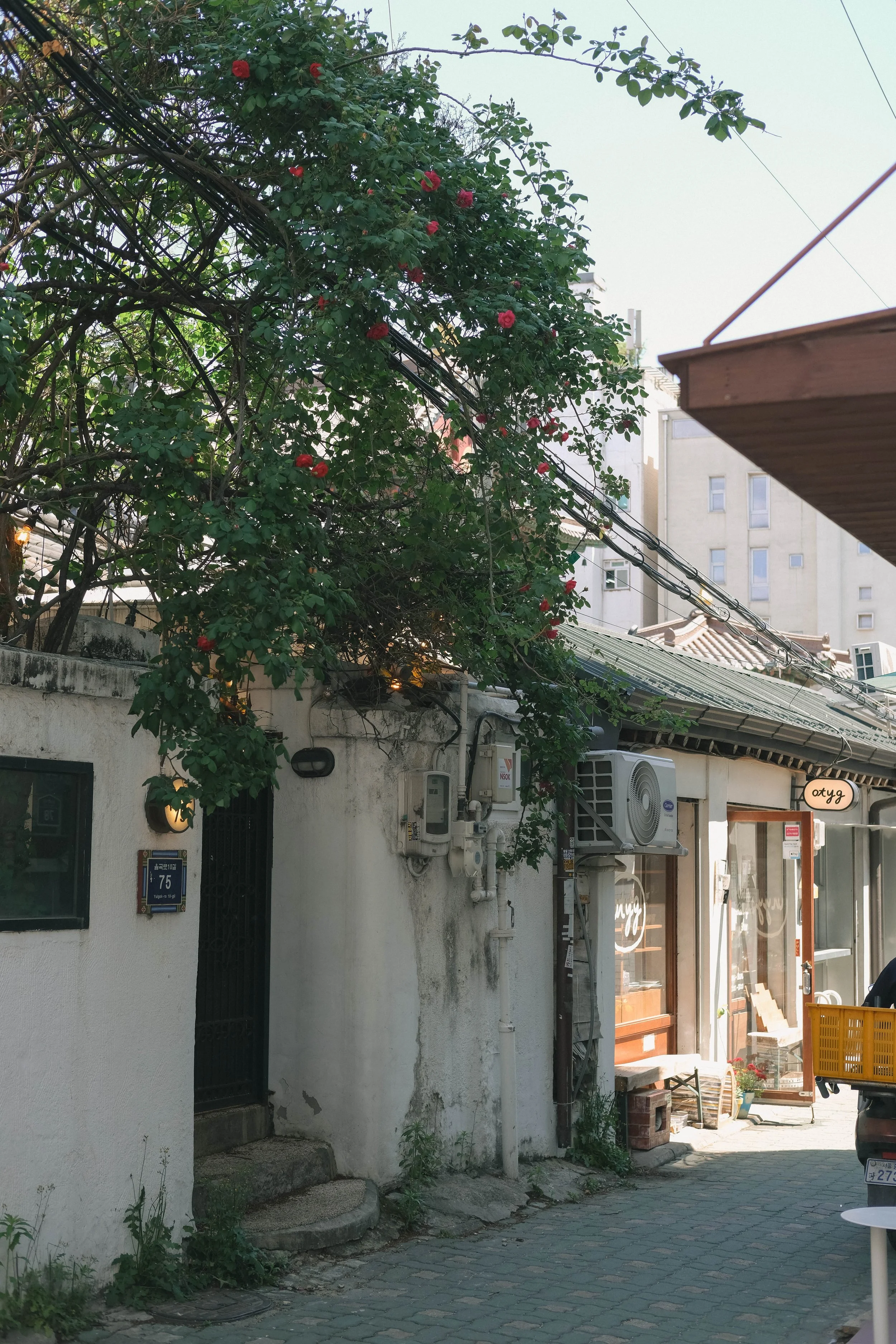 KOREA_2026-50.jpg