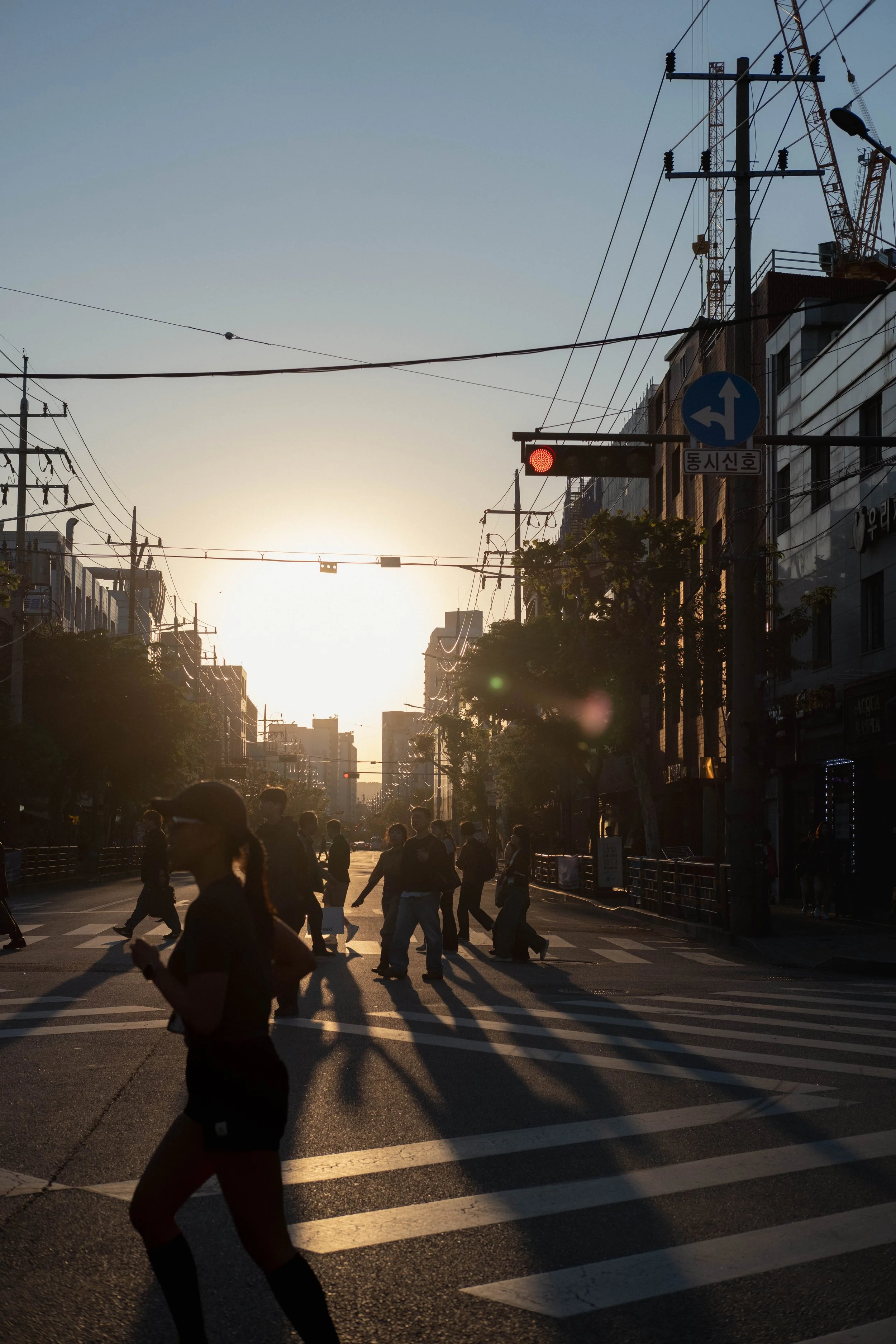 KOREA_2026-22.jpg