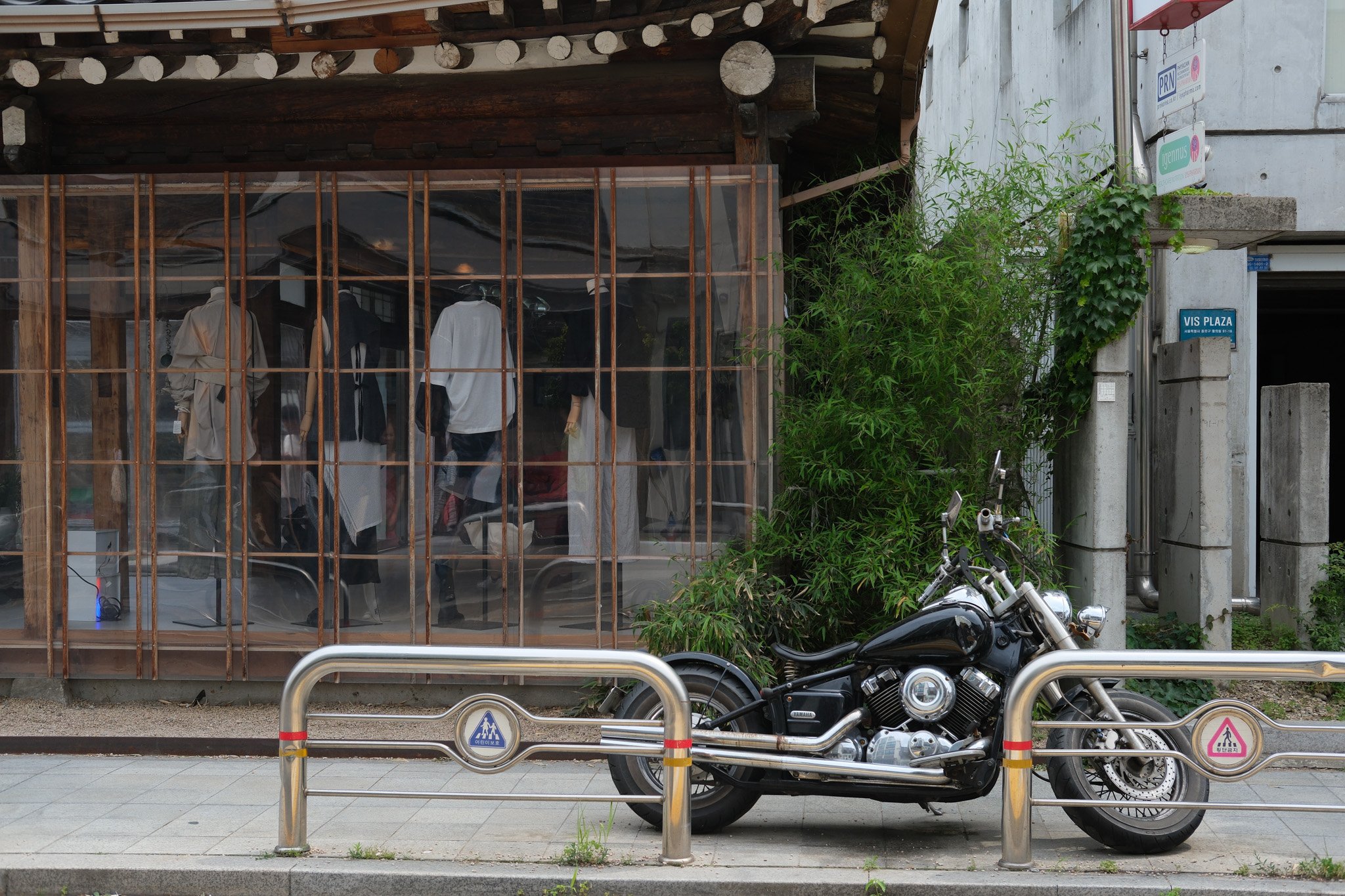 KOREA PHOTOS 2025-03.jpg