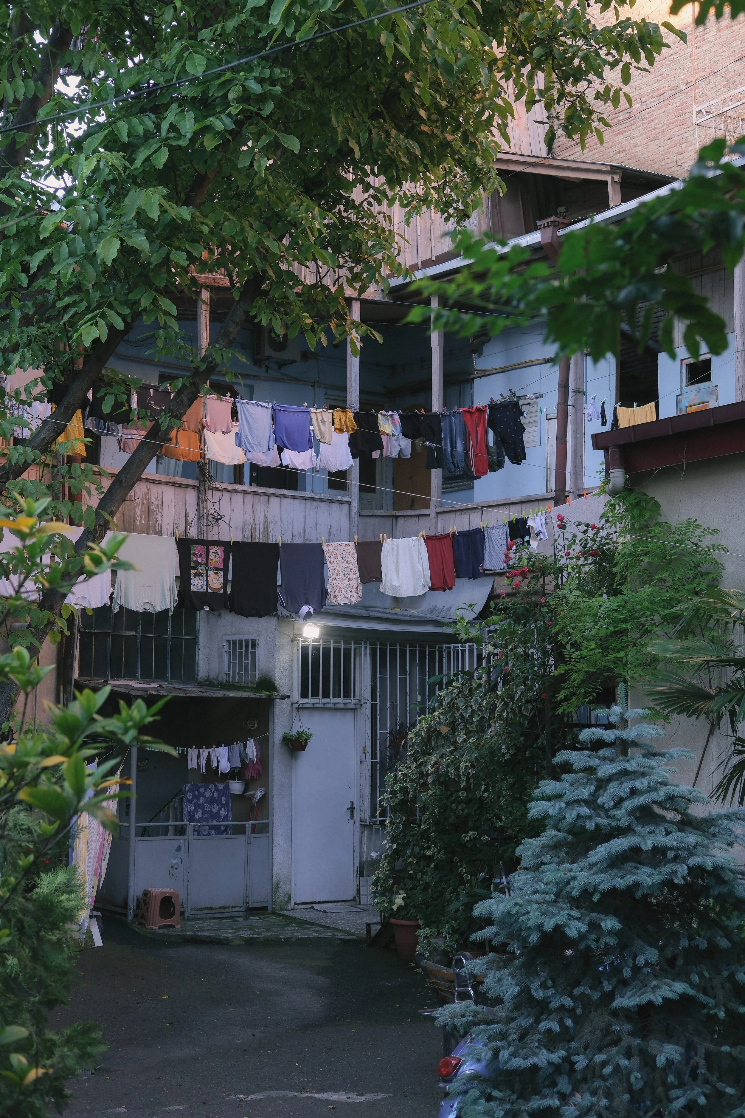 GEORGIA 2026 - SQUARE-93.jpg