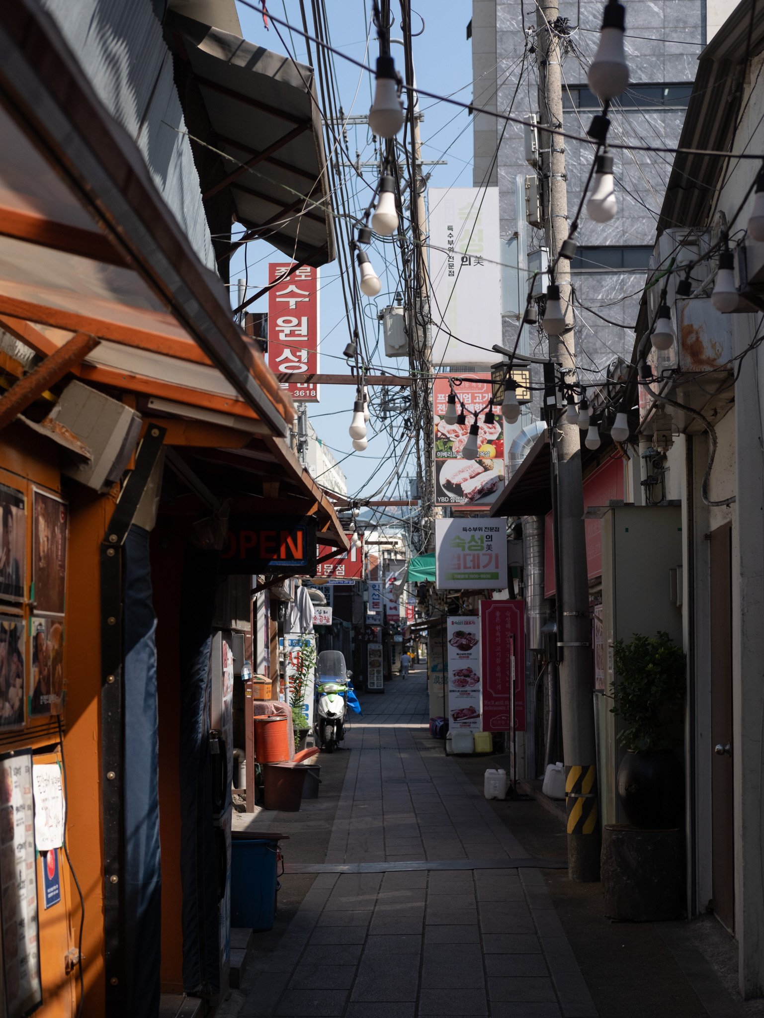 KOREA PHOTOS 2025-15.jpg