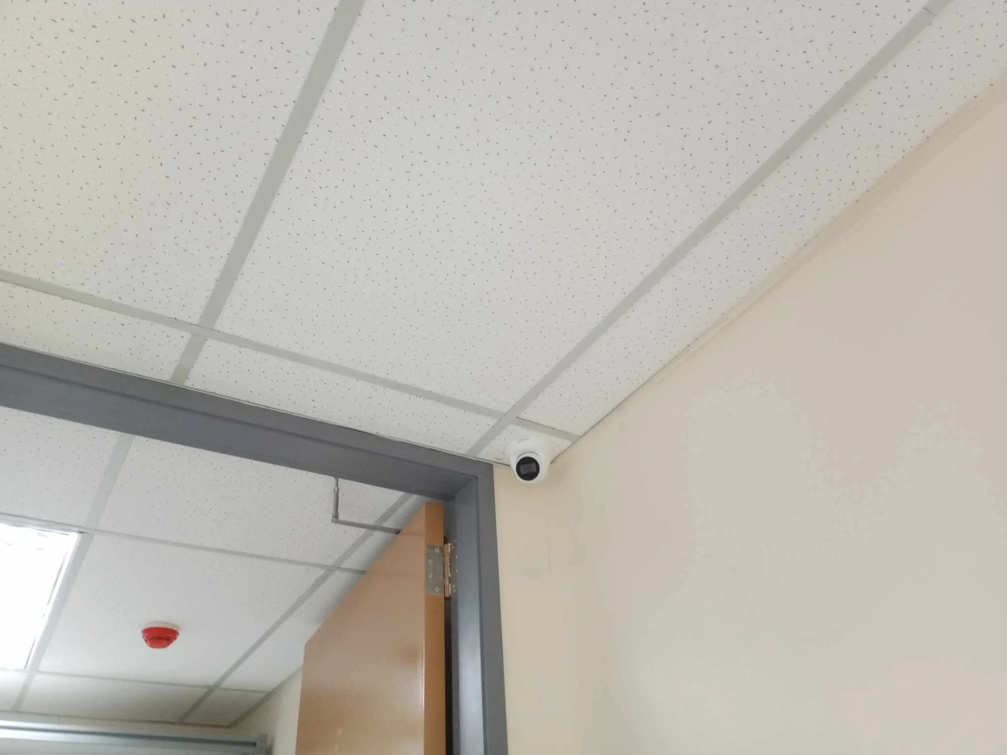 7740ff16-68d9-4ed6-9de4-938549530de0 (1).jpg