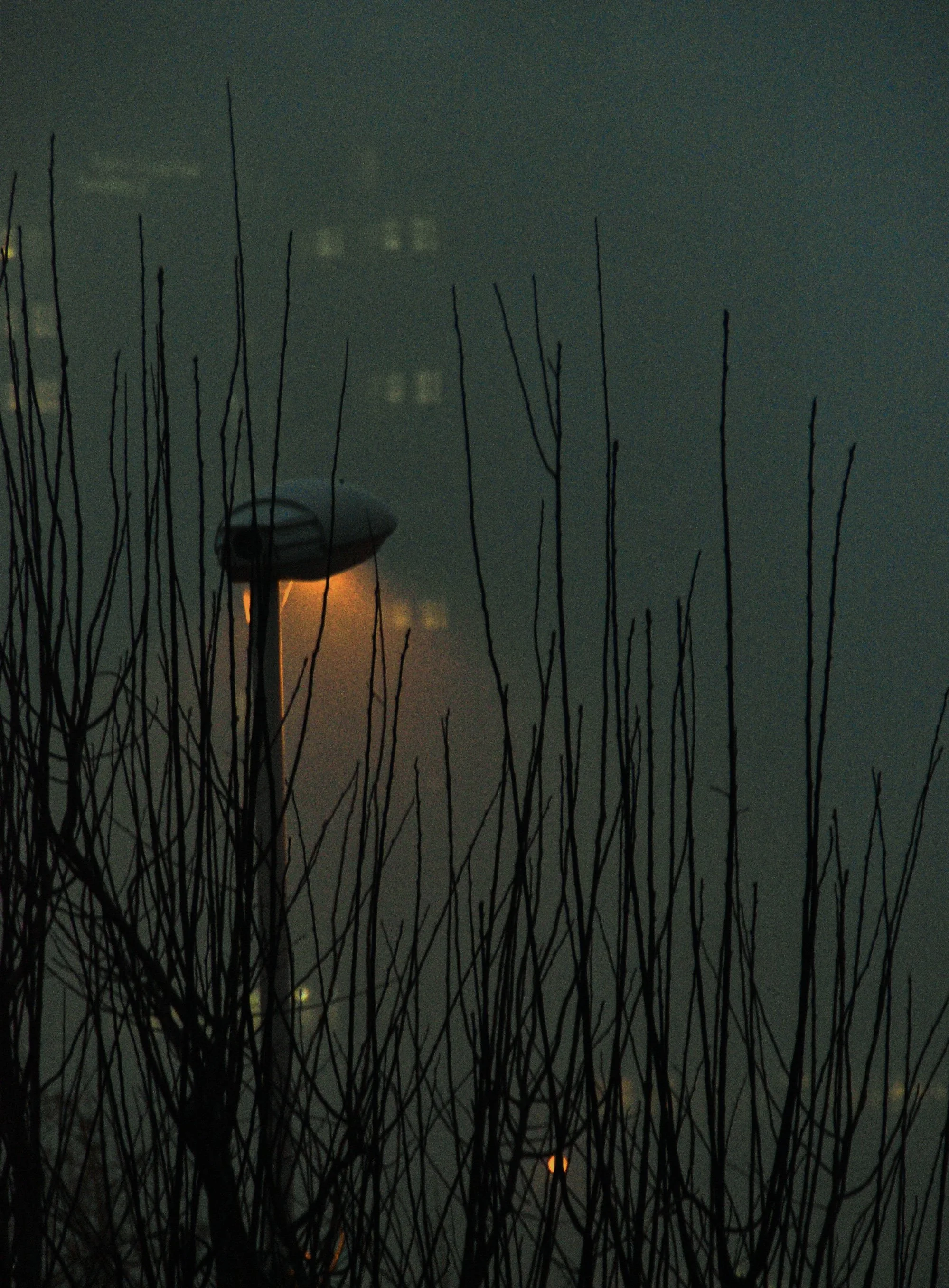 Selin Erkilic Photography Bookings 3.jpg