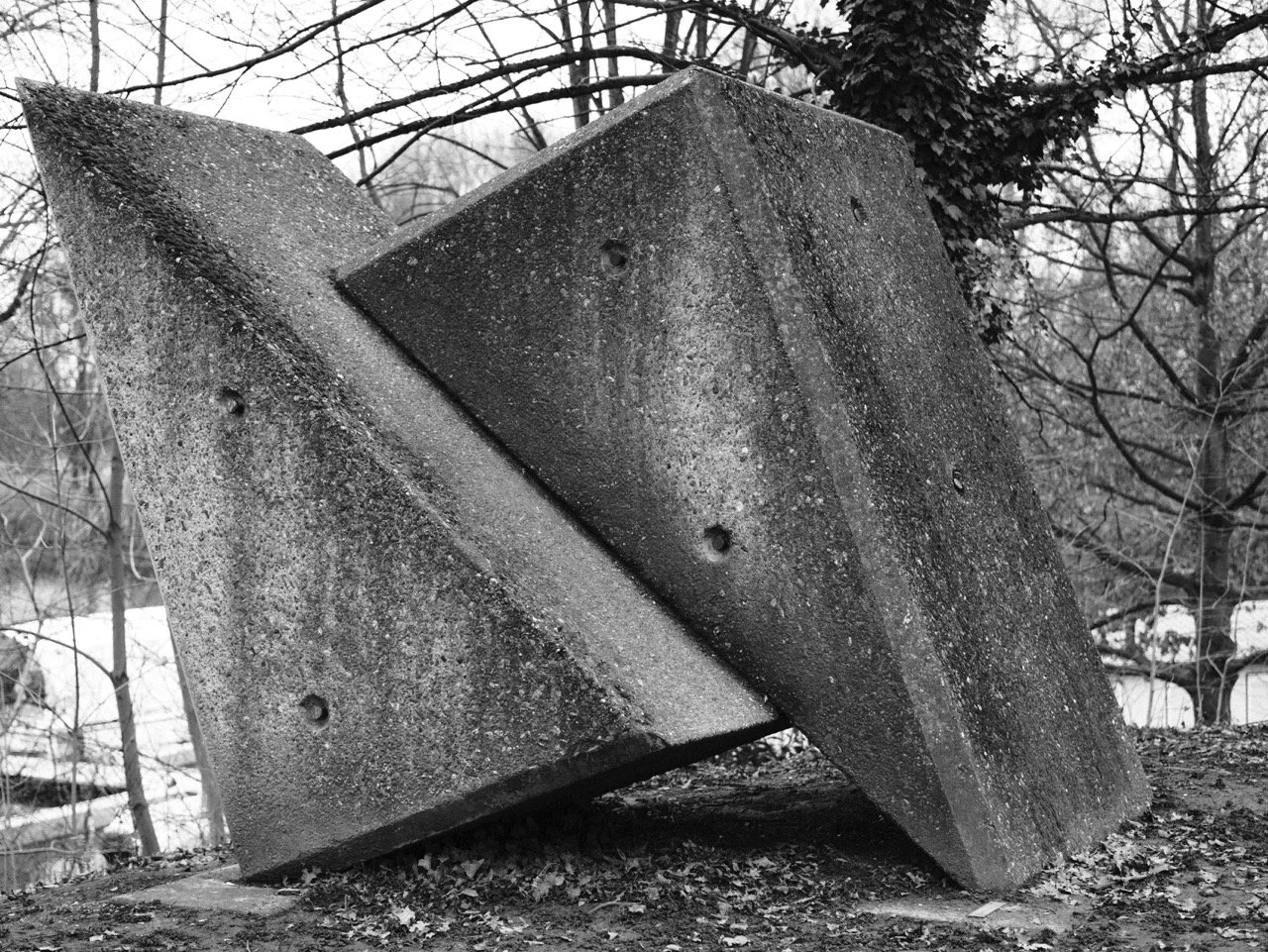 2025-12-14_11-23-04_X-T50_DSF7843 Large.jpeg