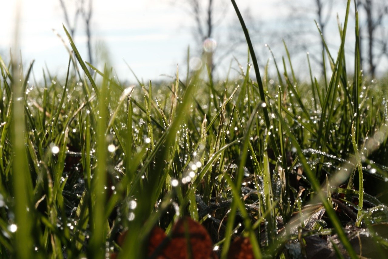 2025-12-27_12-31-33_X-T50_DSCF9728 Large.jpeg