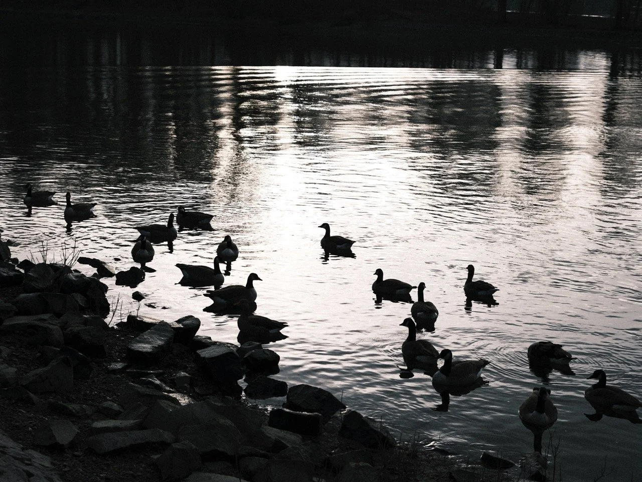 2025-12-22_10-08-51_X-T50_DSF8025 Large.jpeg