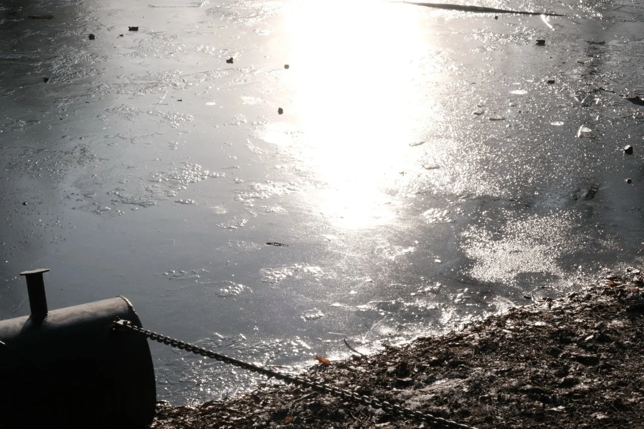 2025-12-27_11-56-31_X-T50_DSCF9712 Large.jpeg