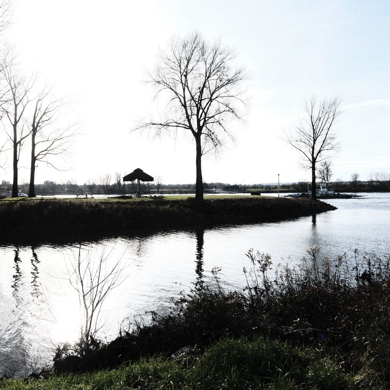 2025-12-01_12-41-18_X-T50_DSF6991 Large.jpeg