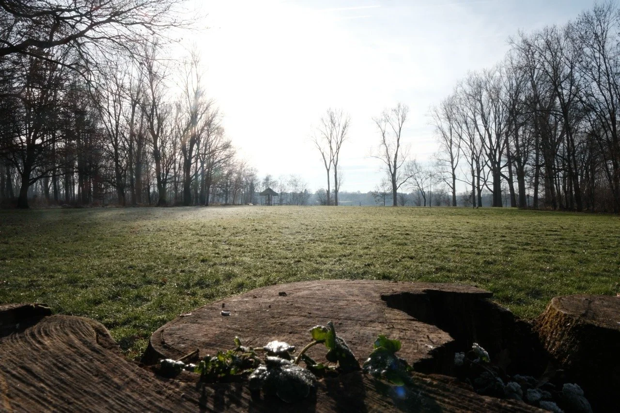 2025-12-27_12-29-21_X-T50_DSCF9722 Large.jpeg