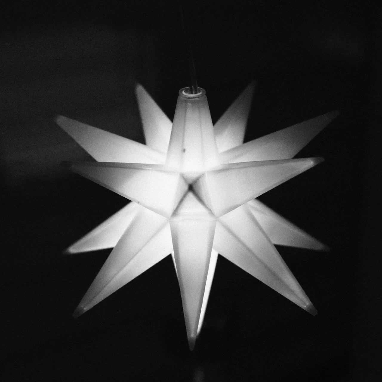 2025-12-01_22-52-59_X-T50_DSF6997 Large.jpeg