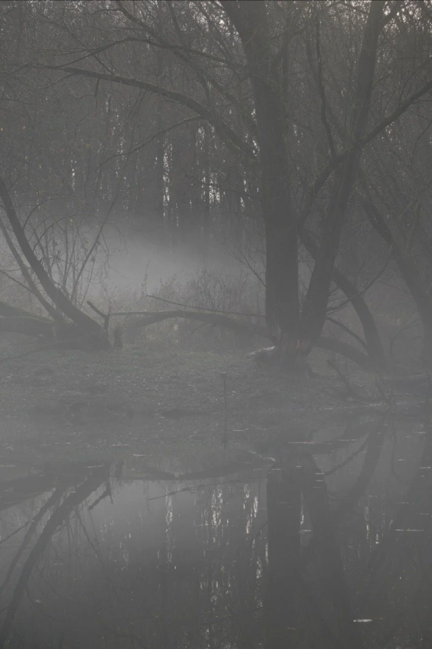 2025-12-08_10-41-52_X-T50_DSF7504 Large.jpeg