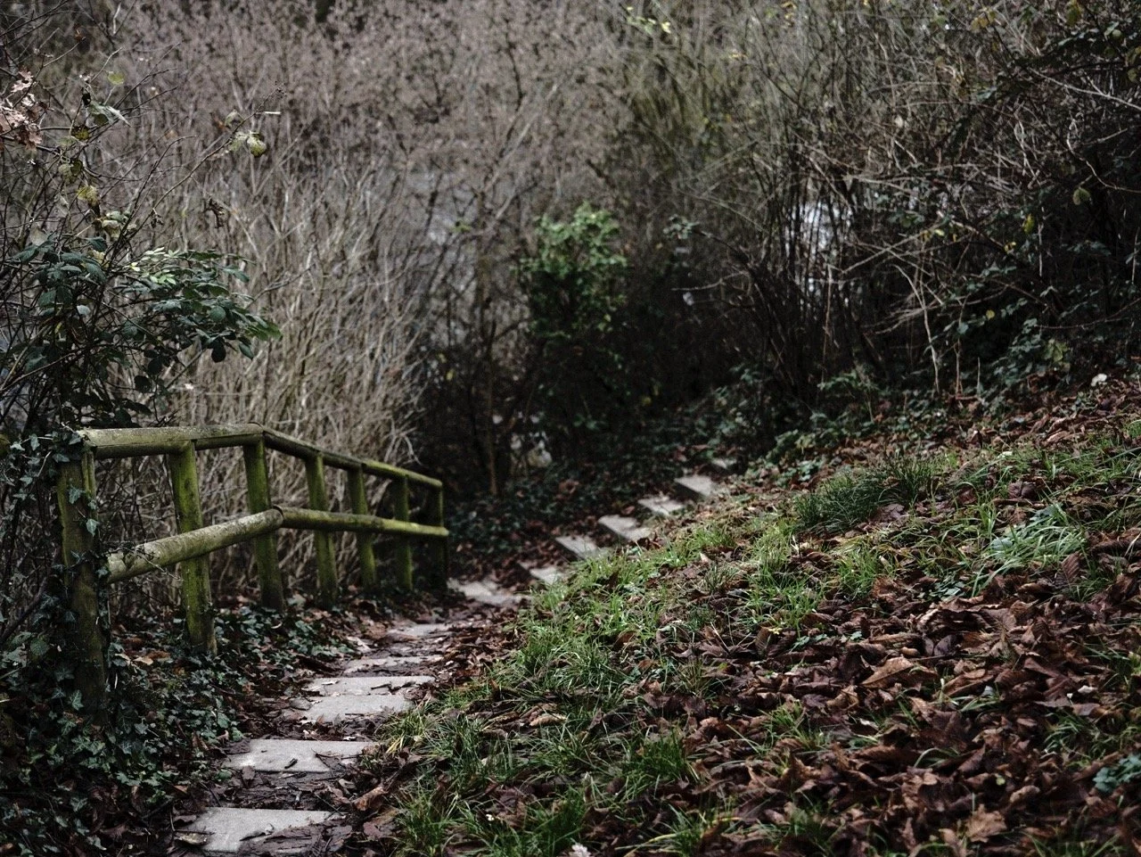 2025-12-14_11-29-00_X-T50_DSF7846 Large.jpeg