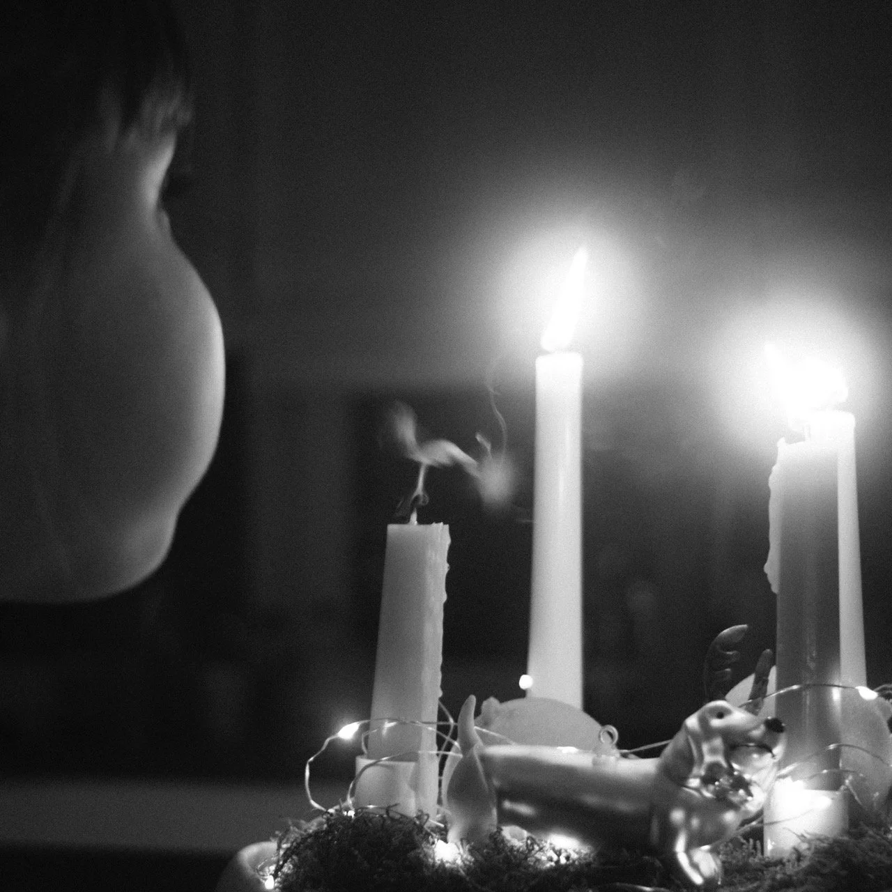 2025-12-26_21-17-43_X-T50__DSF9698 Large.jpeg