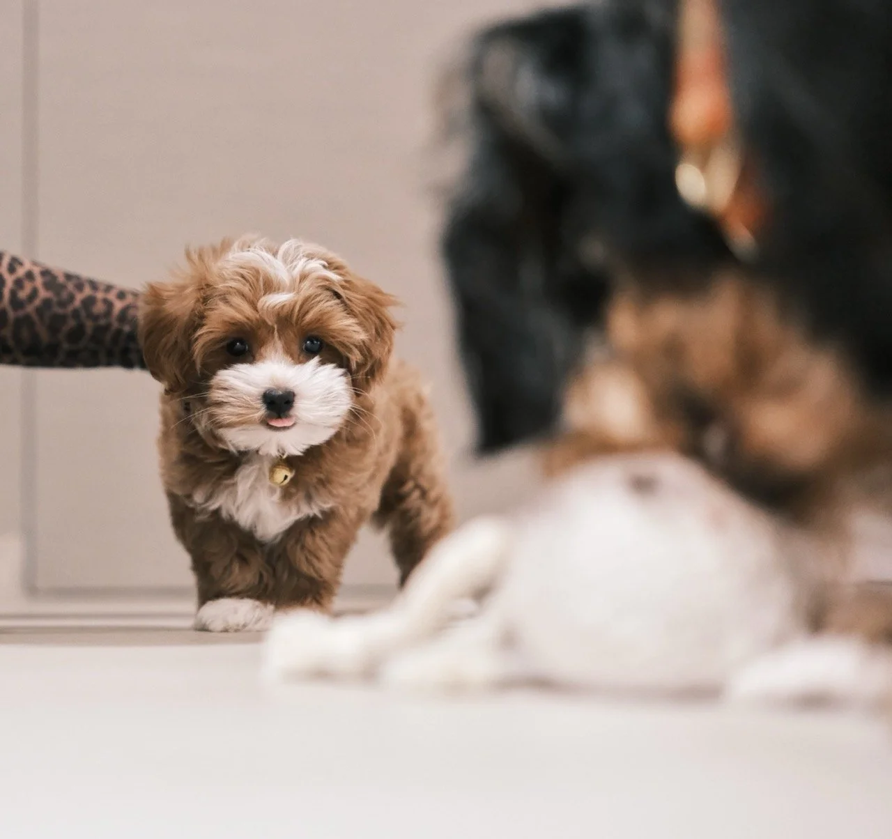 2025-12-24_22-05-18_X-T50DSCF9405 Large.jpeg