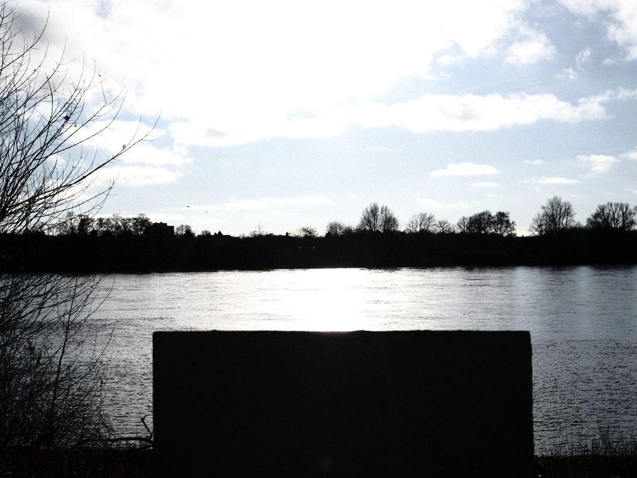 2025-12-14_14-01-36_X-T50_DSF7881 Large.jpeg