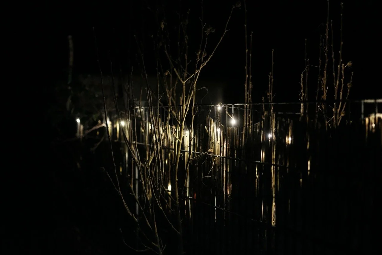 2025-12-28_19-53-24_X-T50_DSCF9749 Large.jpeg