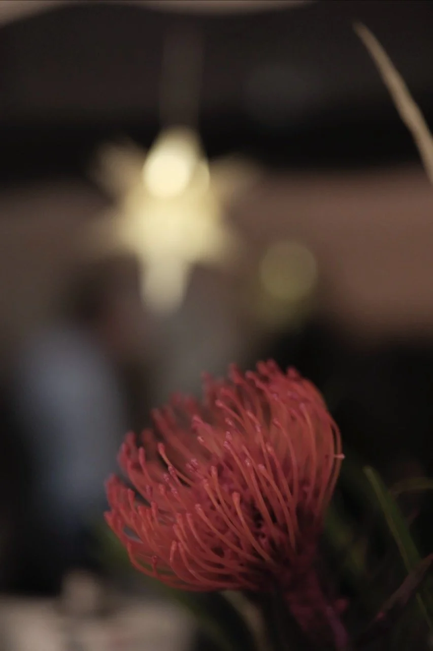 2025-12-05_17-36-46_X-T50_DSF7396 Large.jpeg