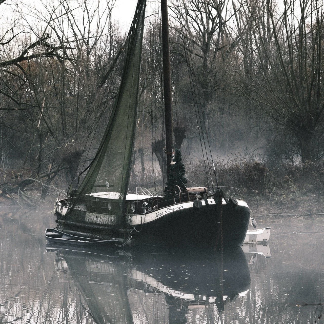 2025-12-08_10-46-34_X-T50_DSF7532 Large.jpeg