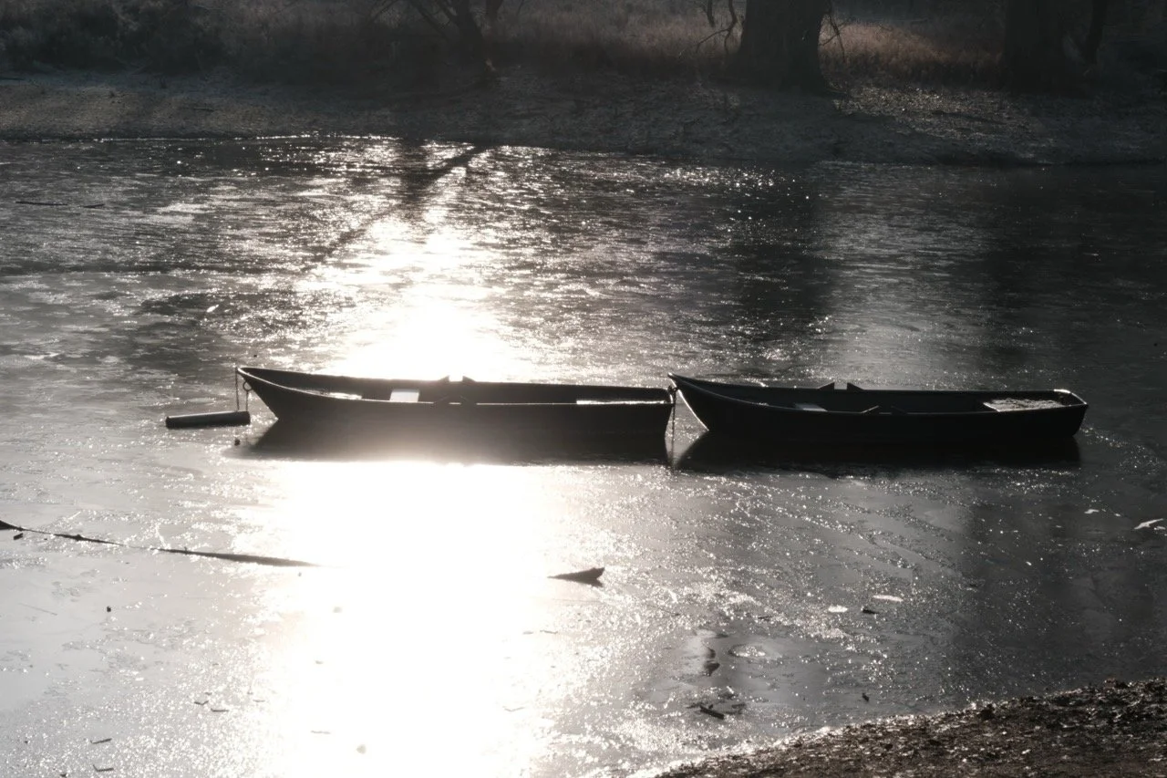 2025-12-27_11-55-59_X-T50_DSCF9710 Large.jpeg