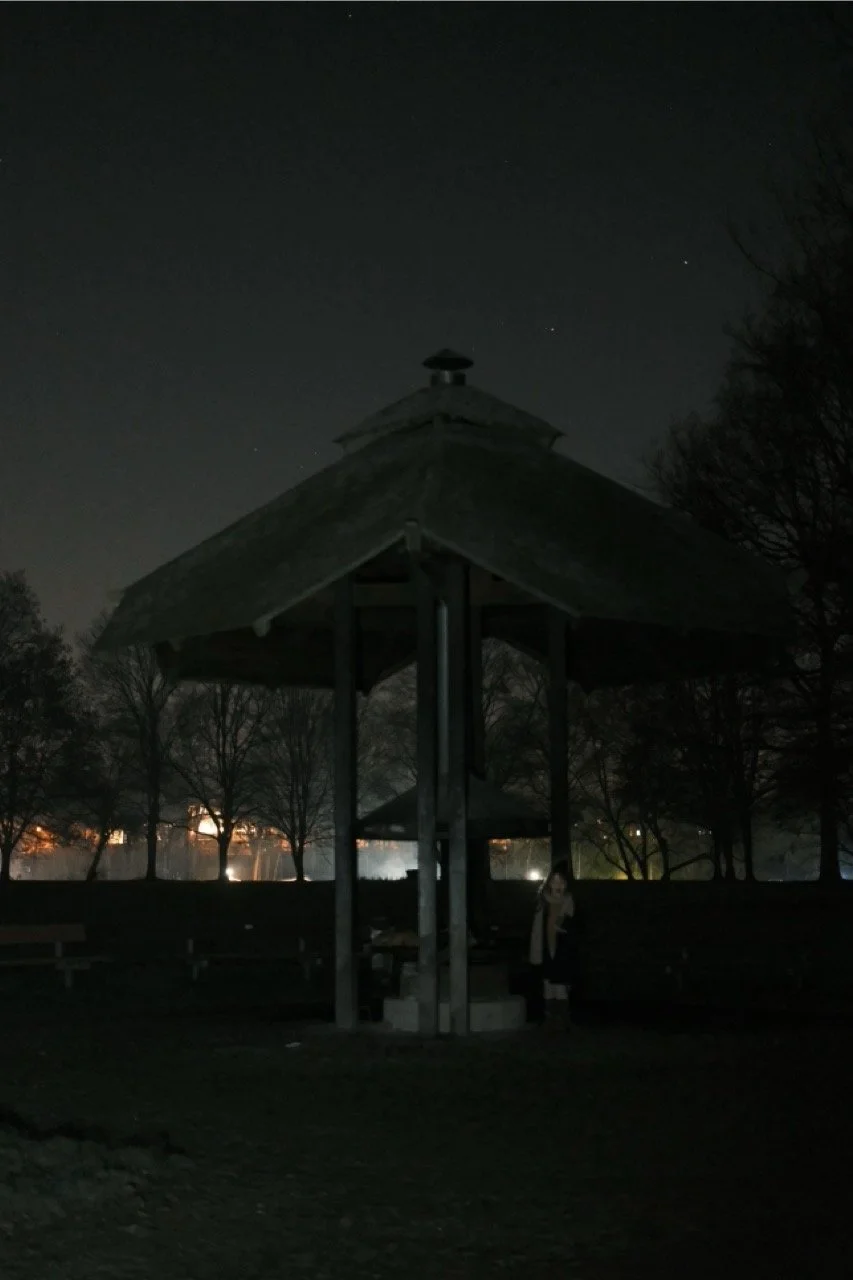 2025-12-28_20-18-26_X-T50_DSCF9834 Large.jpeg