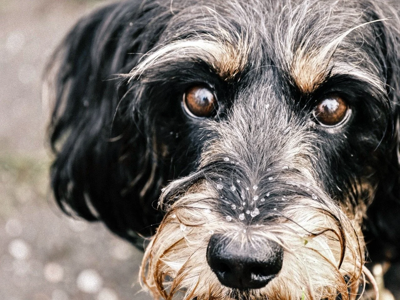 2025-12-08_10-50-43_X-T50_DSF7561 Large.jpeg