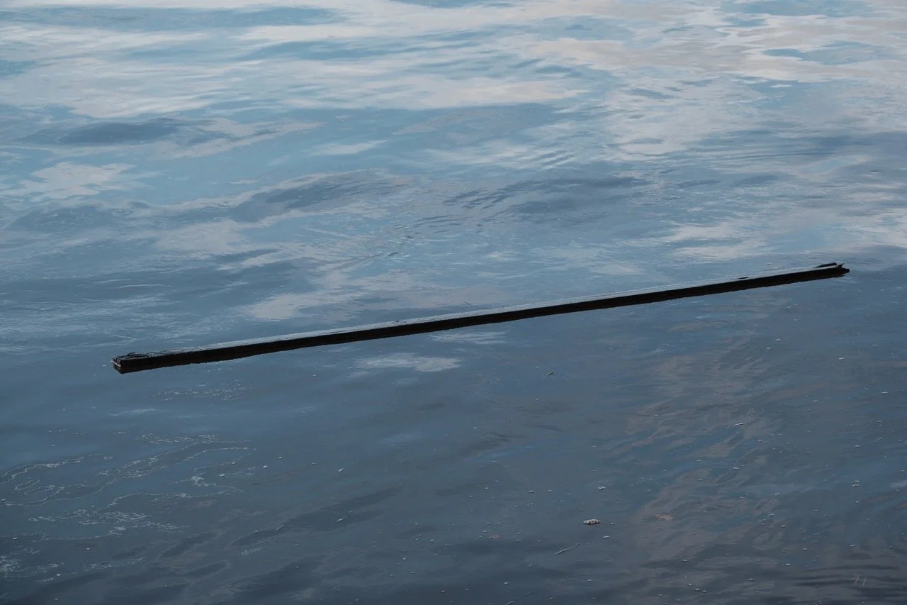 2025-12-08_11-27-51_X-T50_DSF7694 Large.jpeg