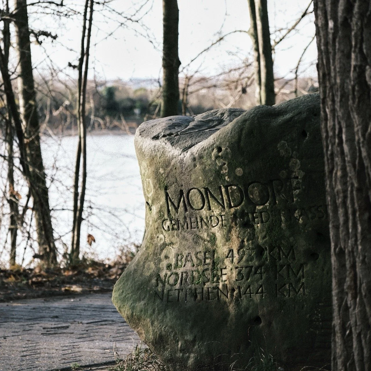 2025-12-08_11-09-34_X-T50_DSF7585 Large.jpeg