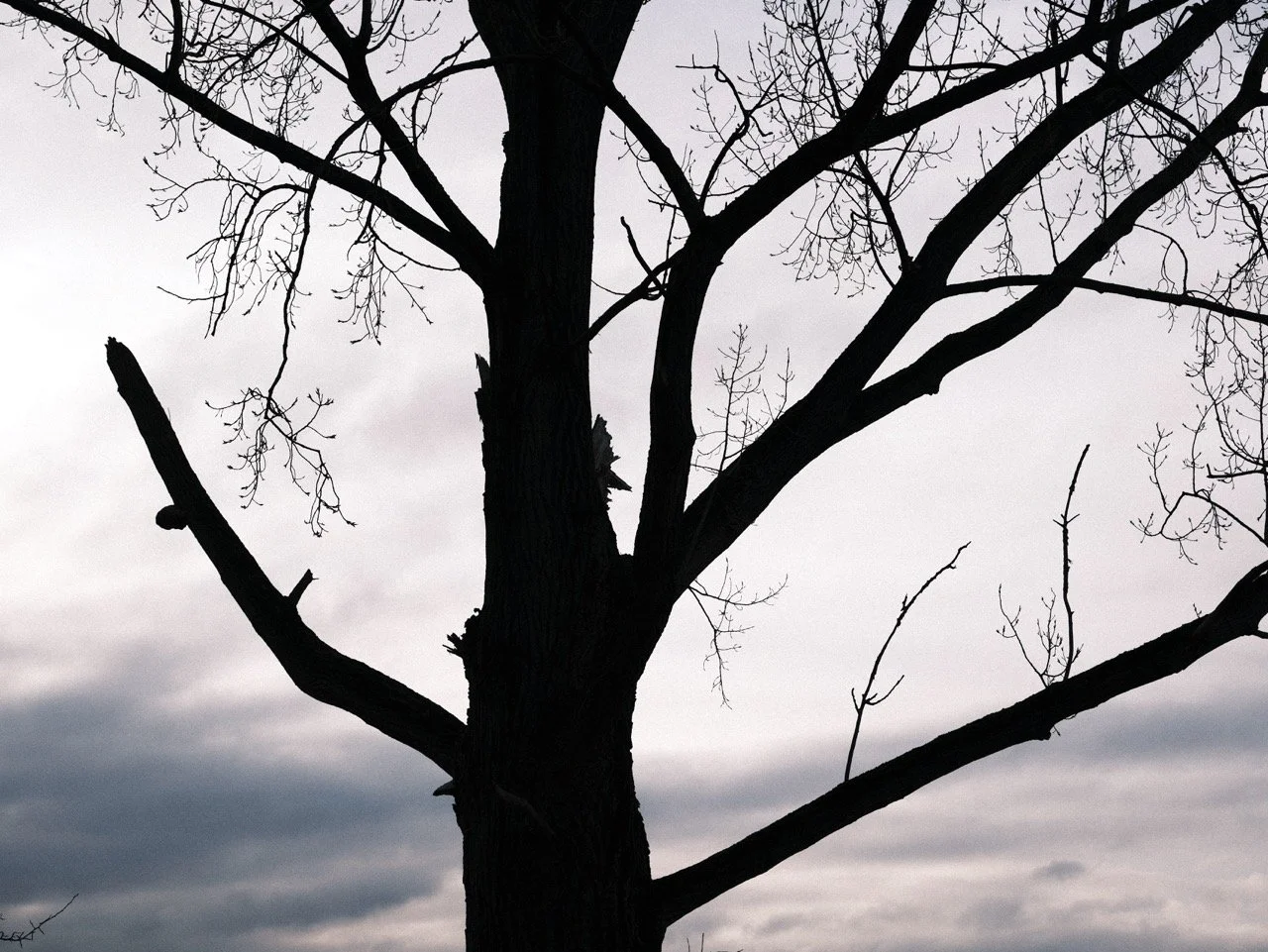 2025-12-22_10-21-14_X-T50_DSF8042 Large.jpeg