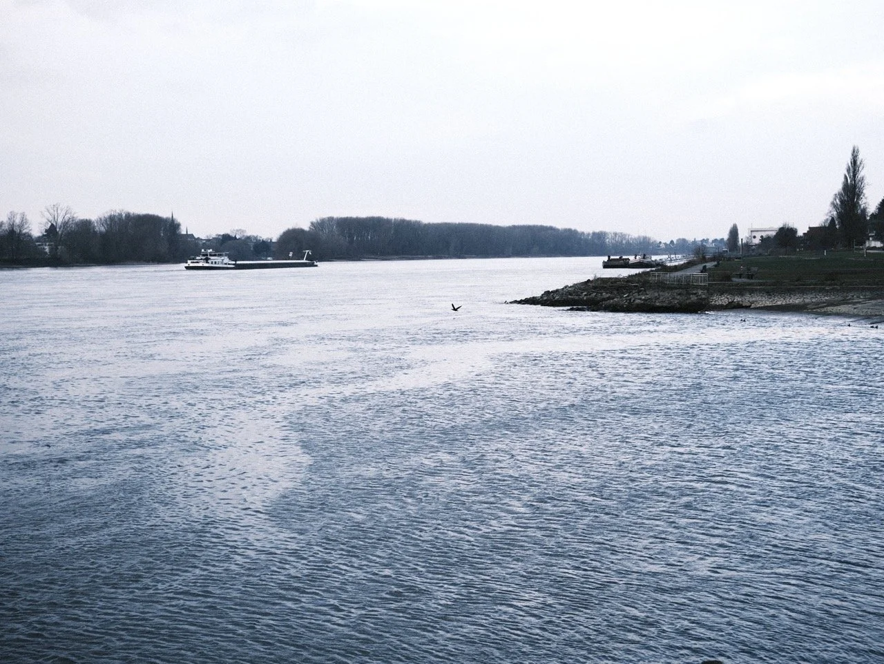 2025-12-22_10-28-07_X-T50_DSF8057 Large.jpeg