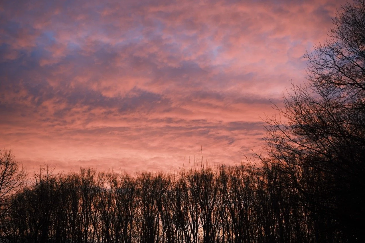 2025-12-18_08-13-31_X-T50_DSF7951 Large.jpeg