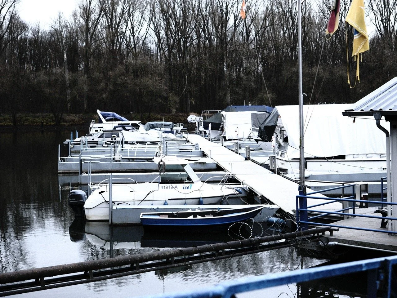 2025-12-14_11-57-34_X-T50_DSF7876 Large.jpeg