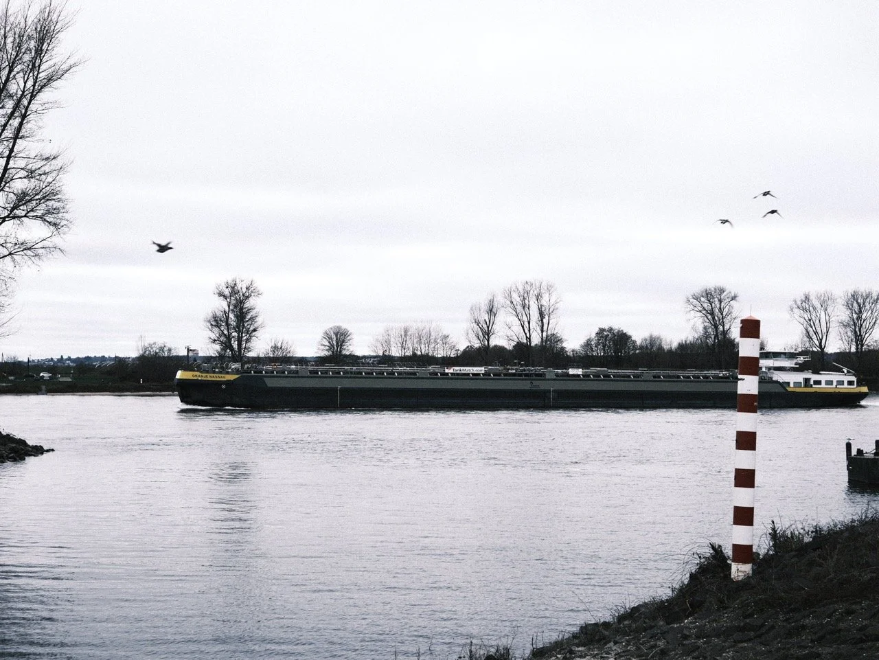 2025-12-14_11-50-24_X-T50_DSF7870 Large.jpeg