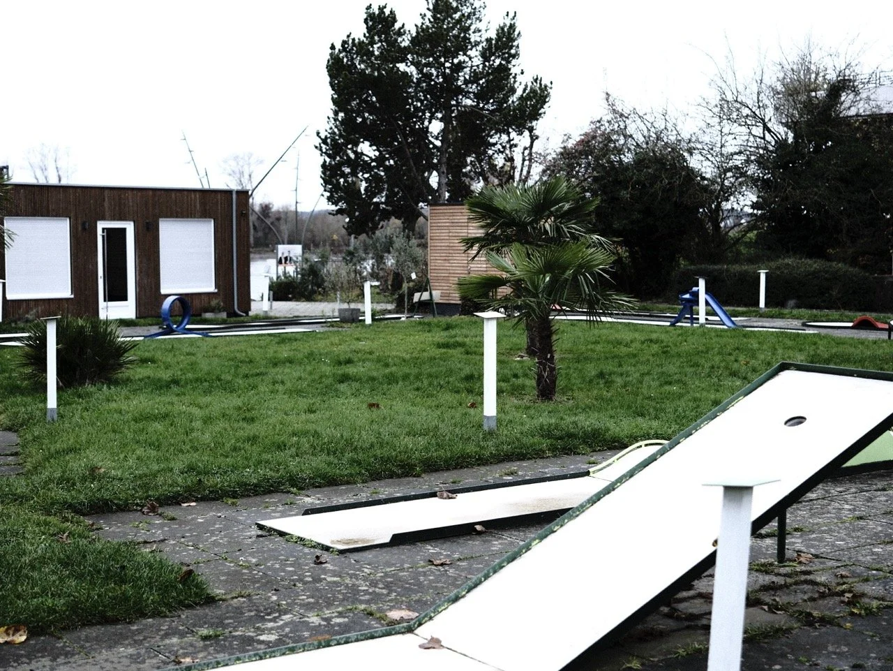 2025-12-14_11-37-48_X-T50_DSF7855 Large.jpeg