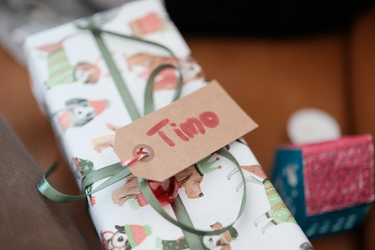 2025-12-25_11-39-12_X-T50DSCF9557 Large.jpeg