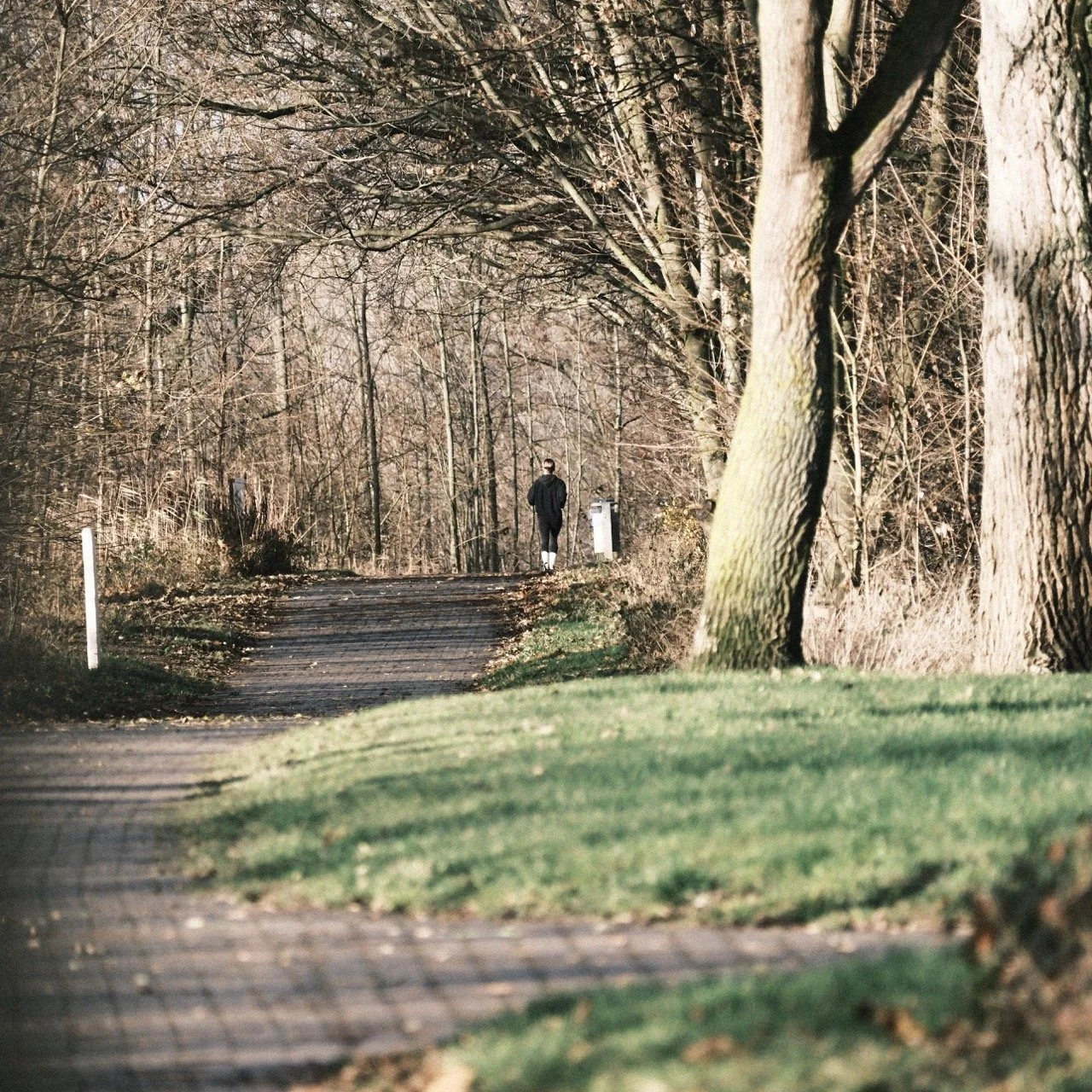 2025-12-08_11-12-11_X-T50_DSF7588 Large.jpeg